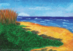 Pawley's Island
