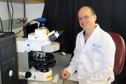 Paul Martin (DMD/BMD)