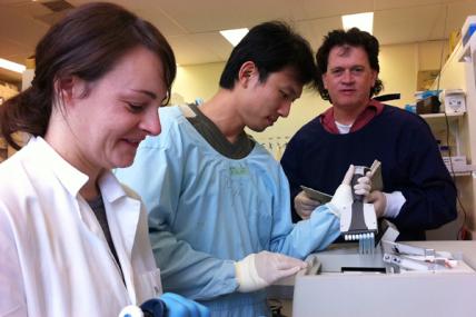 Des Richardson (FA): Richardson (back, right) and colleagues, aim to obtain new information regarding the function of frataxin protein, a deficiency of which is the cause of Friedreich's ataxia.