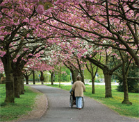 Woman walking down path between trees