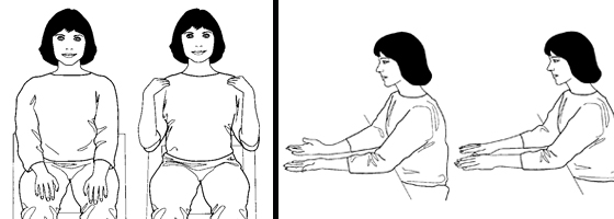 Illustrations of basic stretches