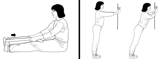 Illustrations of basic stretches