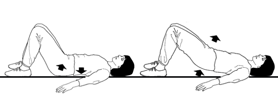 Illustrations of basic stretches