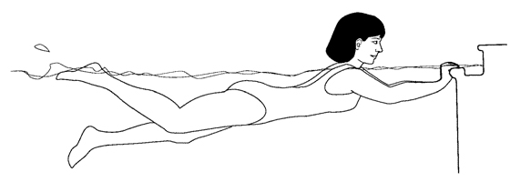 Illustration of acquatic exercises
