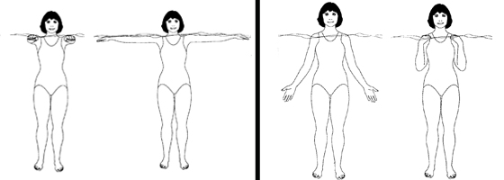 Illustration of acquatic exercises