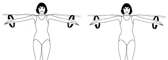 Illustration of acquatic exercises