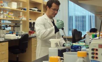 Andrew Brack (DMD/BMD)