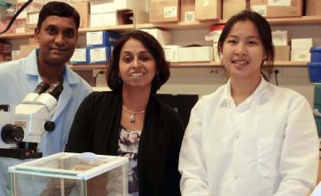 Mahasweta Girgenrath (CMD): Girgenrath (center) with her colleagues.