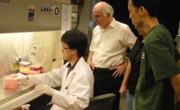 Alfred Goldberg (LGMD/IBM) 