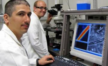 Susan Hamilton (CCD/MH): Researchers in Hamilton's lab, postdoctoral fellow Adan Dagnino-Acosta (left) and graduate student Joshua Oakes.