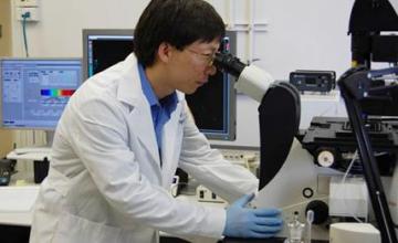 Renzhi Han (LGMD)