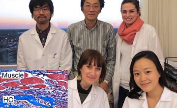 Masahiro Iwamoto, Ph.D., D.D.S., and team