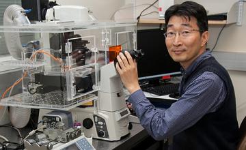 Deok-Ho Kim, Ph.D.