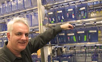 Linhoff is studying fish (whose tanks are shown) with mutations in a gene that causes congenital myasthenic syndrome.