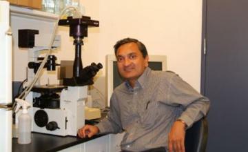 Mani Mahadevan (MMD)