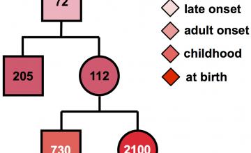 The number of CTG repeat units often grows in each successive generation, as shown here, with disease onset occurring earlier each time.