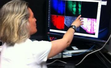 Sonja Nowotschin (CMD): Here, Nowotschin looks at images of mouse embryos.