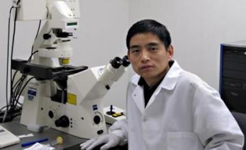 Hao Shi (DMD)