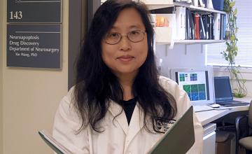 Xin Wang, Ph.D.