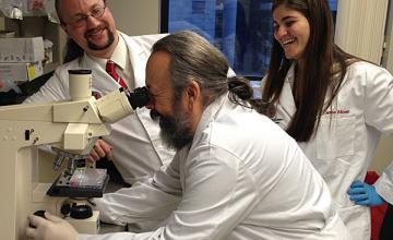 Noah Weisleder (left) in his laboratory working with Eric Beck (center) and Jenna Alloush (right) on a fluorescence microscope used to examine muscle cell viability in dystrophic mouse models.