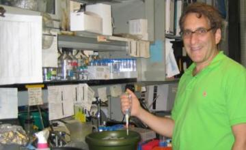 Howard Worman (EDMD)