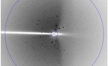 In this X-ray diffraction image, the pattern of dots can be used to extract information about the size, shape and structure of the MMD2 RNA.