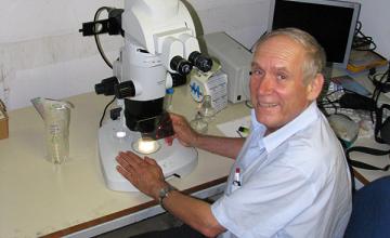 Yosef Gruenbaum (EDMD/LGMD/CMT)