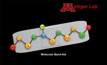 Joseph Metzger (DMD/BMD): illustration of a molecular "Band-Aid"