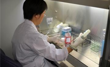 JianRong Sheng (MG): Sheng prepares the media used to culture immune cells, such as T cells and B cells, taken from mice with a disease resembling myasthenia gravis.