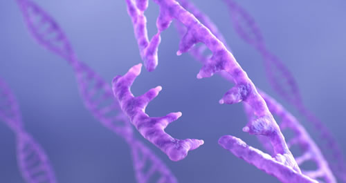 Image of DNA strands.