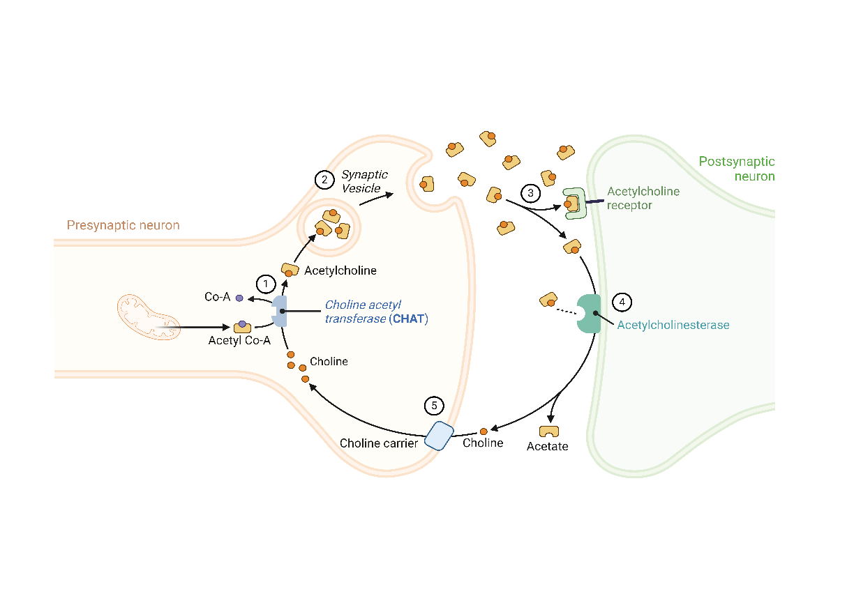 A technical diagram described below.