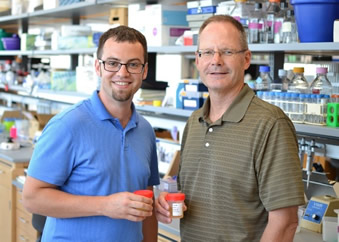 Christopher Chamberlain and James Ervasti are working on an MDA-sponsored research project to identify new non-invasive biomarkers for Duchenne muscular dystrophy.