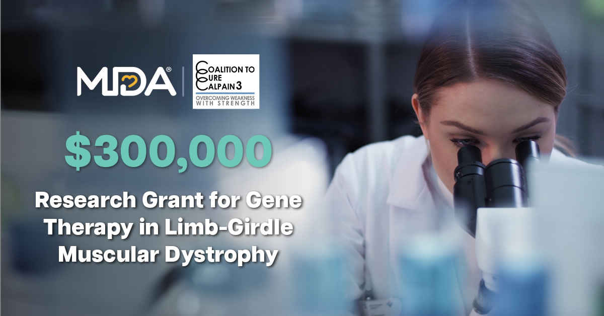 Muscular Dystrophy Association and Coalition to Cure Calpain 3 Fund Gene Therapy Research for Limb-Girdle Muscular Dystrophy